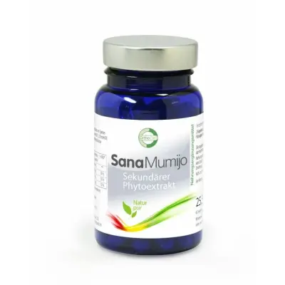 Mumijo / Shilajit