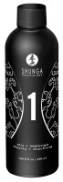 Shunga Massage MelonMango2x250