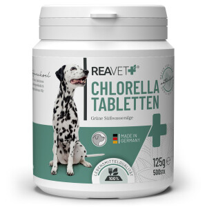 Chlorella Tabletten 500Stk