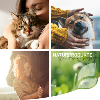 Pfotenbalsam – Natürlicher Schutz und Pflege für Hunde- und Katzenpfoten 120ml