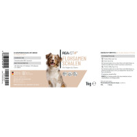ReaVET Flohsamenschalen für Hunde, Katzen & Pferde 