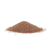 Indische Flohsamen 1kg