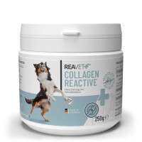 ReaVET Collagen Reactive 250g | Gelenk-S gallery