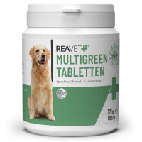 MultiGreen Tabletten – Natürliche Energie und...