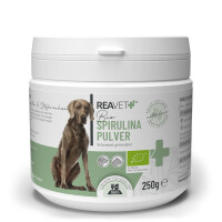 BIO Spirulina Pulver 250g