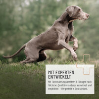 Heilmoor für Hunde 500g