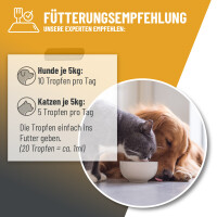 ReaVET Immun-Aufbau Tropfen 100ml – Natürliche Un