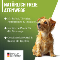 ReaVET Bronchial Liquid – Flüssiger Kräuter-