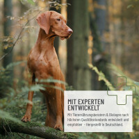BIO Hanfpulver (120g) – Proteinreiches Superfood für Vitalität & Energie