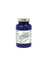 SanaCollagen active – vegan 60 Kapseln