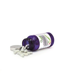 Bio Polyporus umbellatus - Eichhase Pilz-Extrakt 90 Kapseln / Dose á 300 mg Extrakt