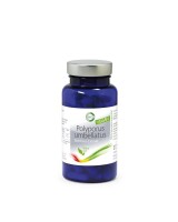 Bio Polyporus umbellatus - Eichhase Pilz-Extrakt 90 Kapseln / Dose á 300 mg Extrakt