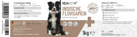 Indische Flohsamen | versch. Größen