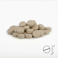Gelenktabletten Forte | versch. Größen