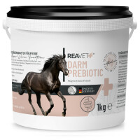 Darm Prebiotic | versch. Größen
