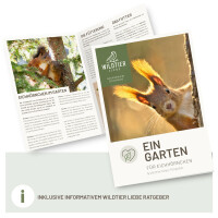 Eichhörnchen-Futterhaus aus Massivholz, FSC-zertifiziert