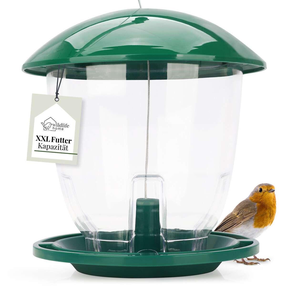 Vogelfutter-Spender Mit Sitzstange & Schippe – Robustes Kunststoff-Futterhaus Für Samen Und Nüsse