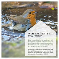 2er-Set Vogelfutterspender Grün – Wetterfeste & flexible Futterstation 6