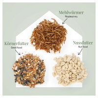 Balkon Futter- & Wasserschale für Wildvögel mit Halterung
