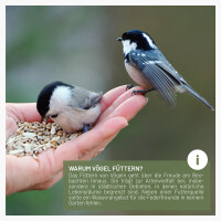 Futtertraum - Schalenloses Streufutter für Wildvög