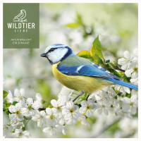 Meisenknödelhalter 31cm aus Metall - schwarz, umweltfre