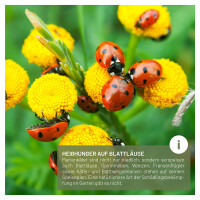 Marienkäferhotel aus FSC-Holz inkl. Insekten-Ratgeber 5
