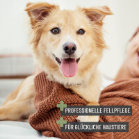 REAVET Zupfbürste 2in1 für Hunde & Katzen – Duo Care Funktion