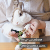 REAVET Krallenschere S für präzise Pflege kleiner 