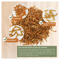 Vogeltraum Premium Insektenmix 500g - Hochwertige Proteinque