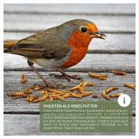 Vogeltraum Premium Insektenmix 500g - Hochwertige Proteinque