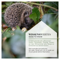 Spezialfutter für Igel 1kg - Getreidefrei, Mit Insektenprotein