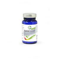SanaSilicium mit Zink 60 Kapseln – Hochwertige Silicium-Quelle