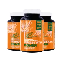 Prostata Power – Pflanzliche Formel für Prostata & Blasenfunktion 360 Kapseln