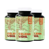 Nutori Gelenk Wohl + Abwehr Hilfe - Mit Vitamin C & Zink