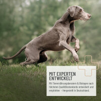 Heilmoor für Hunde | versch. Größen
