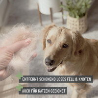 Zupfbürste | versch. Größen