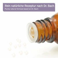 AniForte Bachblüten Gewitter & Silvester 15 g