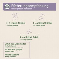 AniForte Bachblüten Gewitter & Silvester 15 g