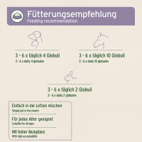 AniForte Bachblüten Protest 15 g