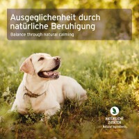 AniForte Bachblüten Protest 15 g