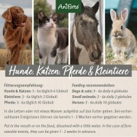 AniForte Bachblüten No.31 Vervain – Überdreht 15 g