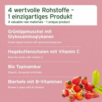 AniForte 4in1 Complete Dog 250 g