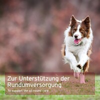 AniForte 4in1 Complete Dog 250 g