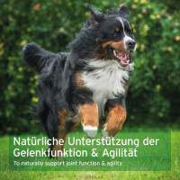 AniForte AgilityVET Gelenktabletten 300 Stk. 7