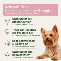 AniForte Blasen-Formel Pulver 100 g