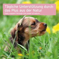 AniForte Blasen-Formel Pulver 100 g