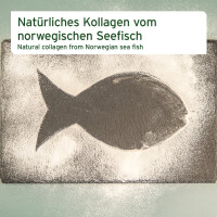 AniForte Kollagen Pulver - ehemals CollaMove dog 250 g 3