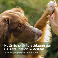 AniForte Kollagen Pulver - ehemals CollaMove dog 250 g 6