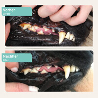 AniForte Denta Clean & Care Pulver 300 g