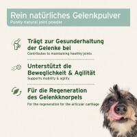 AniForte Grünlippmuschel Pulver 500 g 4